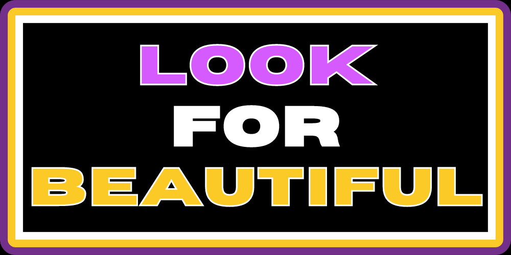 LOOK FOR BEAUTIFUL 2.0